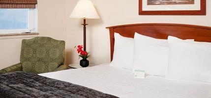 The Mediterranean 3* Seattle