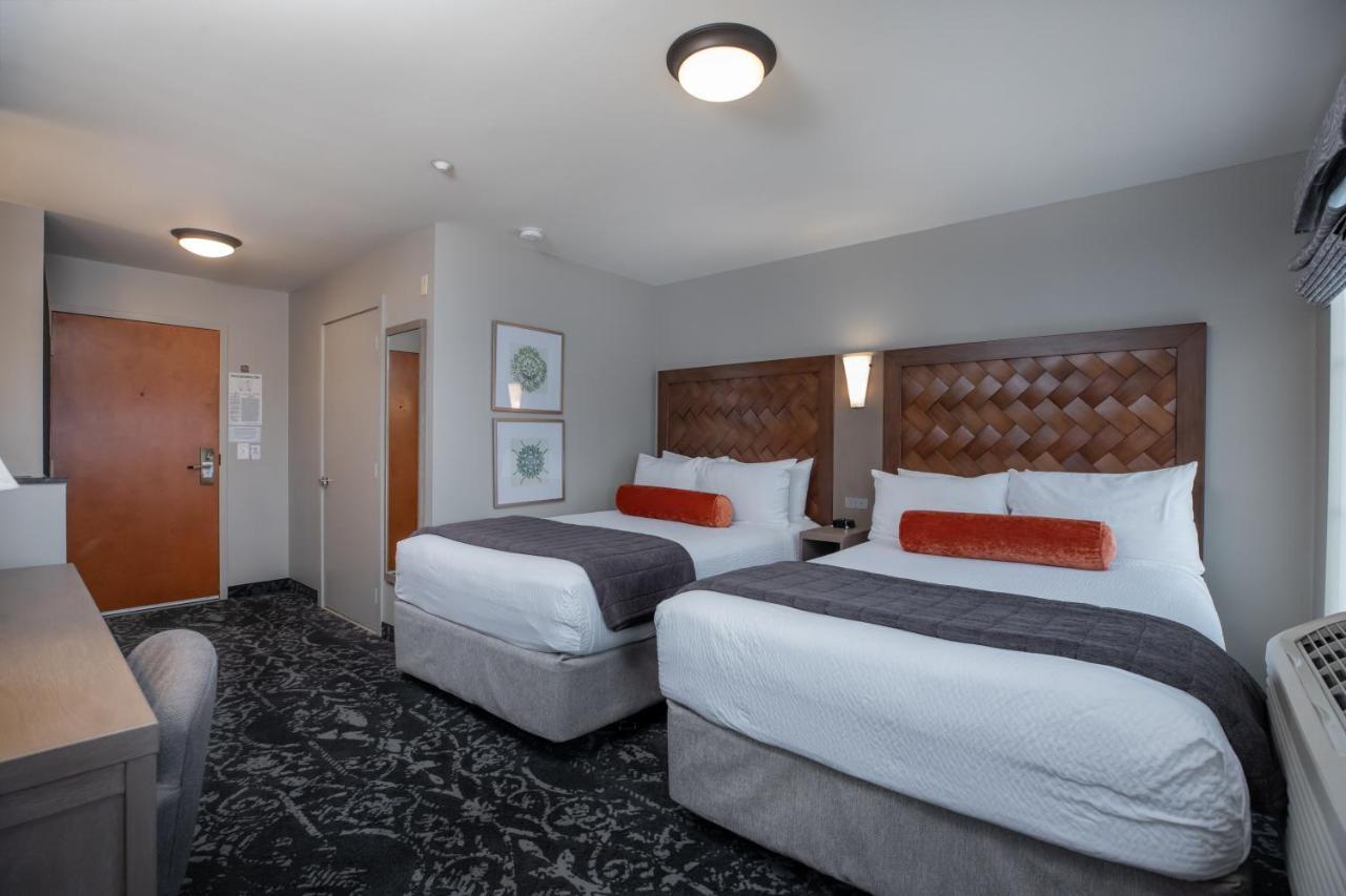 The Mediterranean Inn 3*