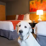 Hotel Max