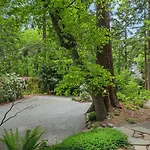 4Br With Firepit, Outdoor Dining And Yard Surrounded By Trees
