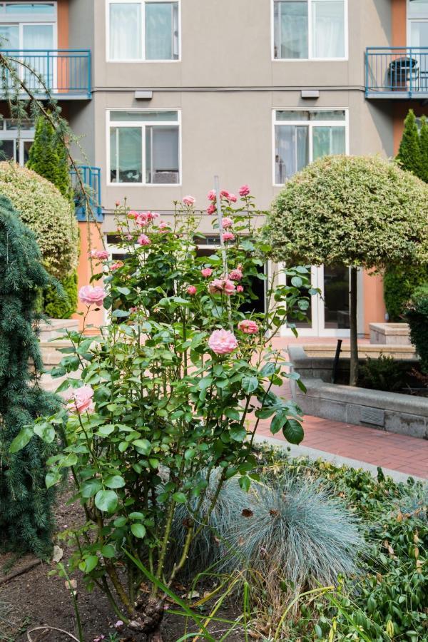 Water View Oasis With Pool & Gym Near Cruise In Heart Of