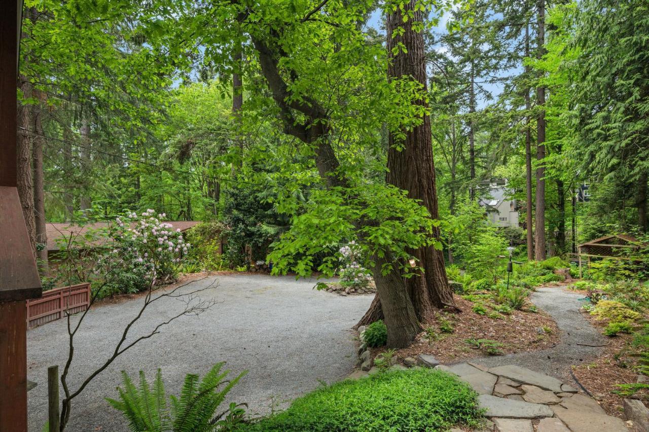4br With Firepit, Outdoor Dining And Yard Surrounded By Trees Seattle
