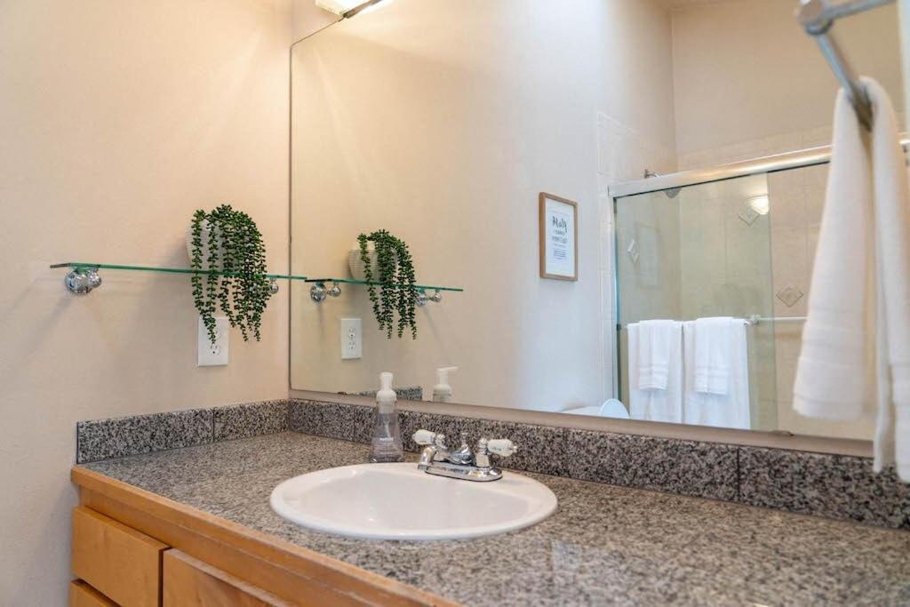 Ballard's Townhome With Office & Walk Score 98 *