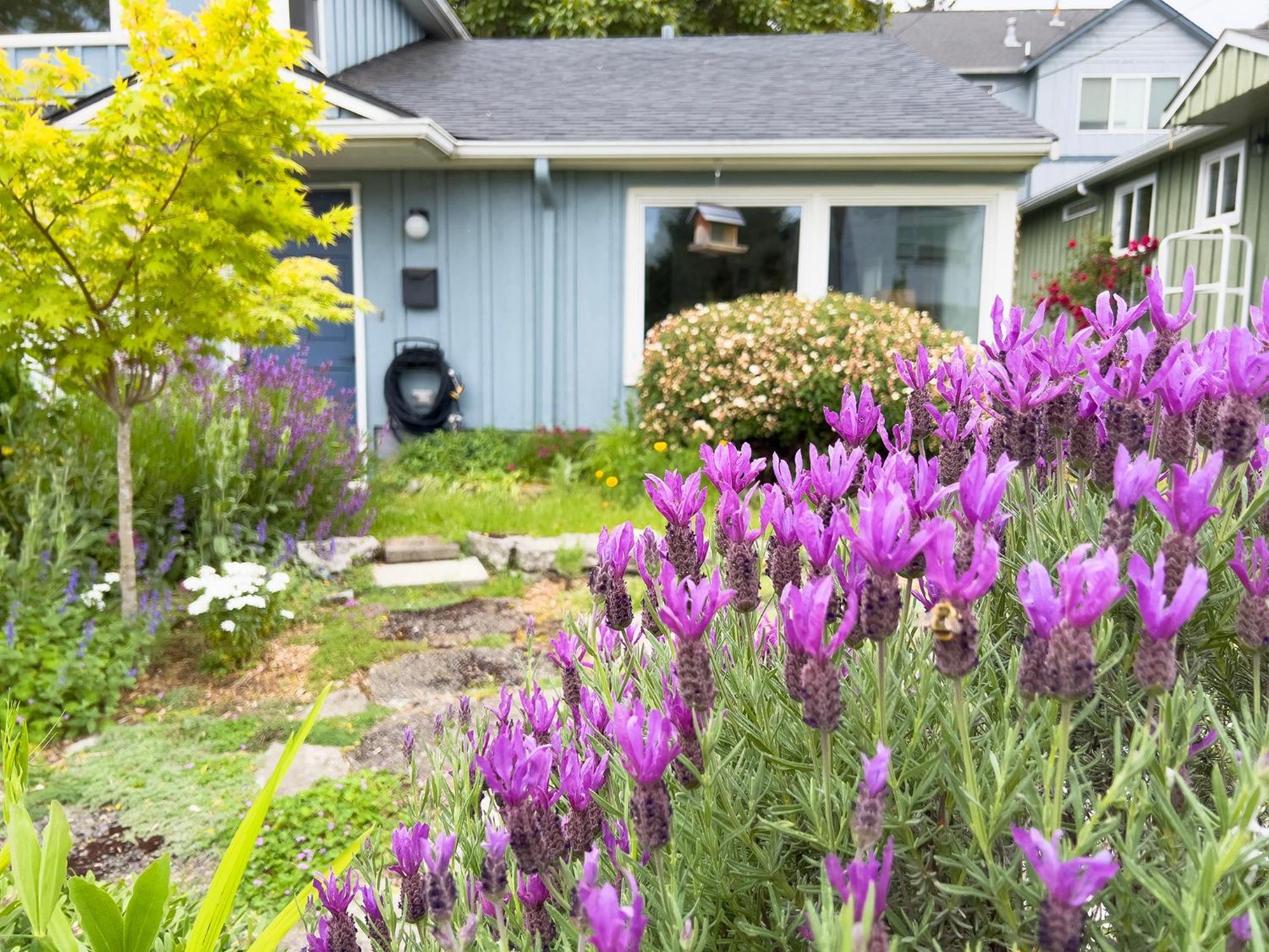Magnolia Garden * Seattle