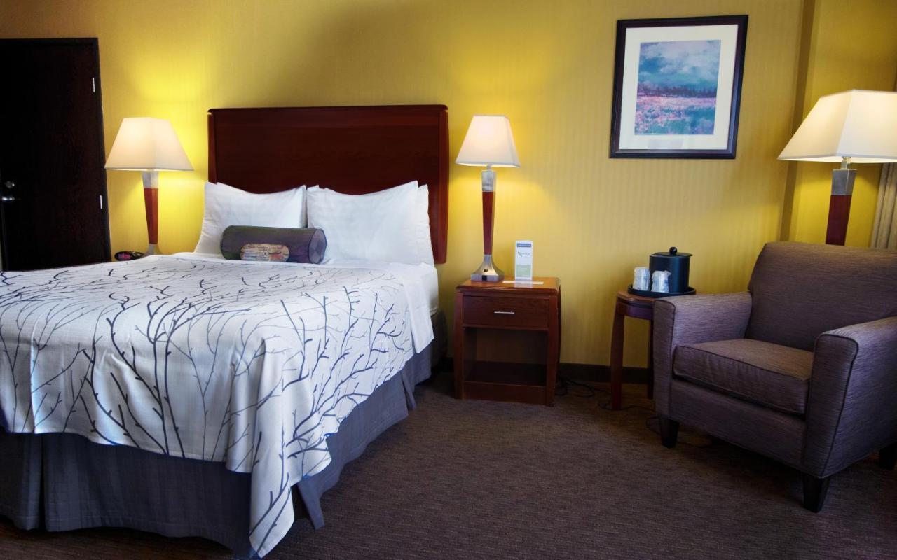Hotel Executive By The Space Needle 3*