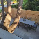 Modern Craftsman Garden Patio In Georgetown