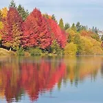 Greenlake Little Oasis