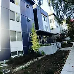 Colorful Spot In The Center Of Universe