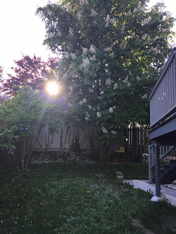 Comfy Sunny Near U-district And Downtown Seattle