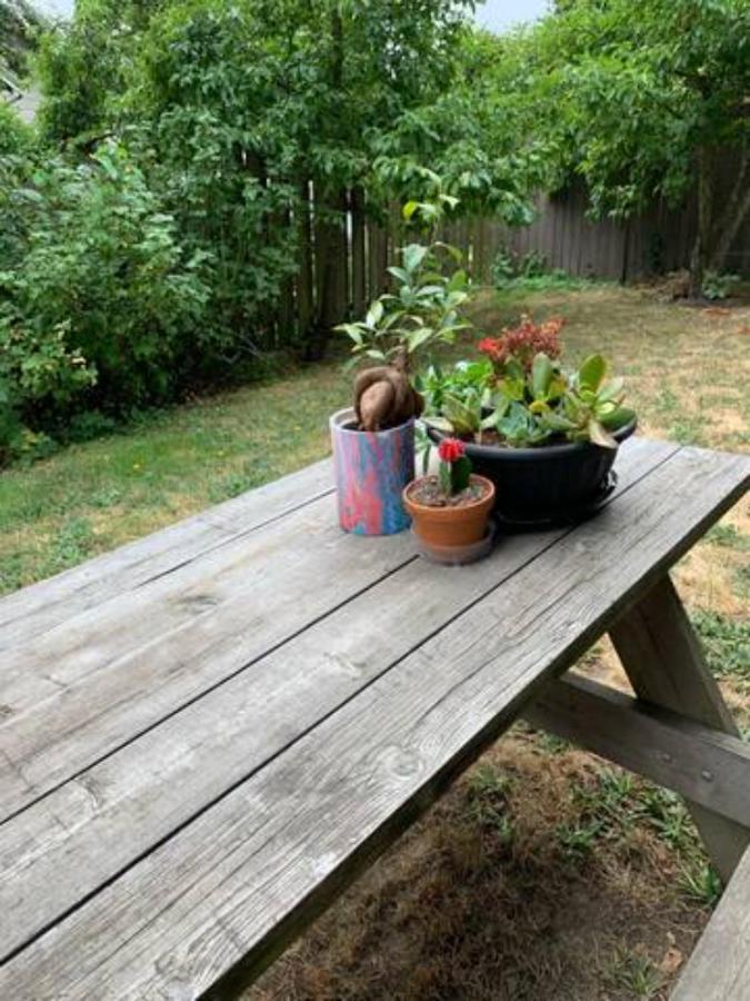 Bed & Breakfast Comfy Sunny Near U-district And Downtown *