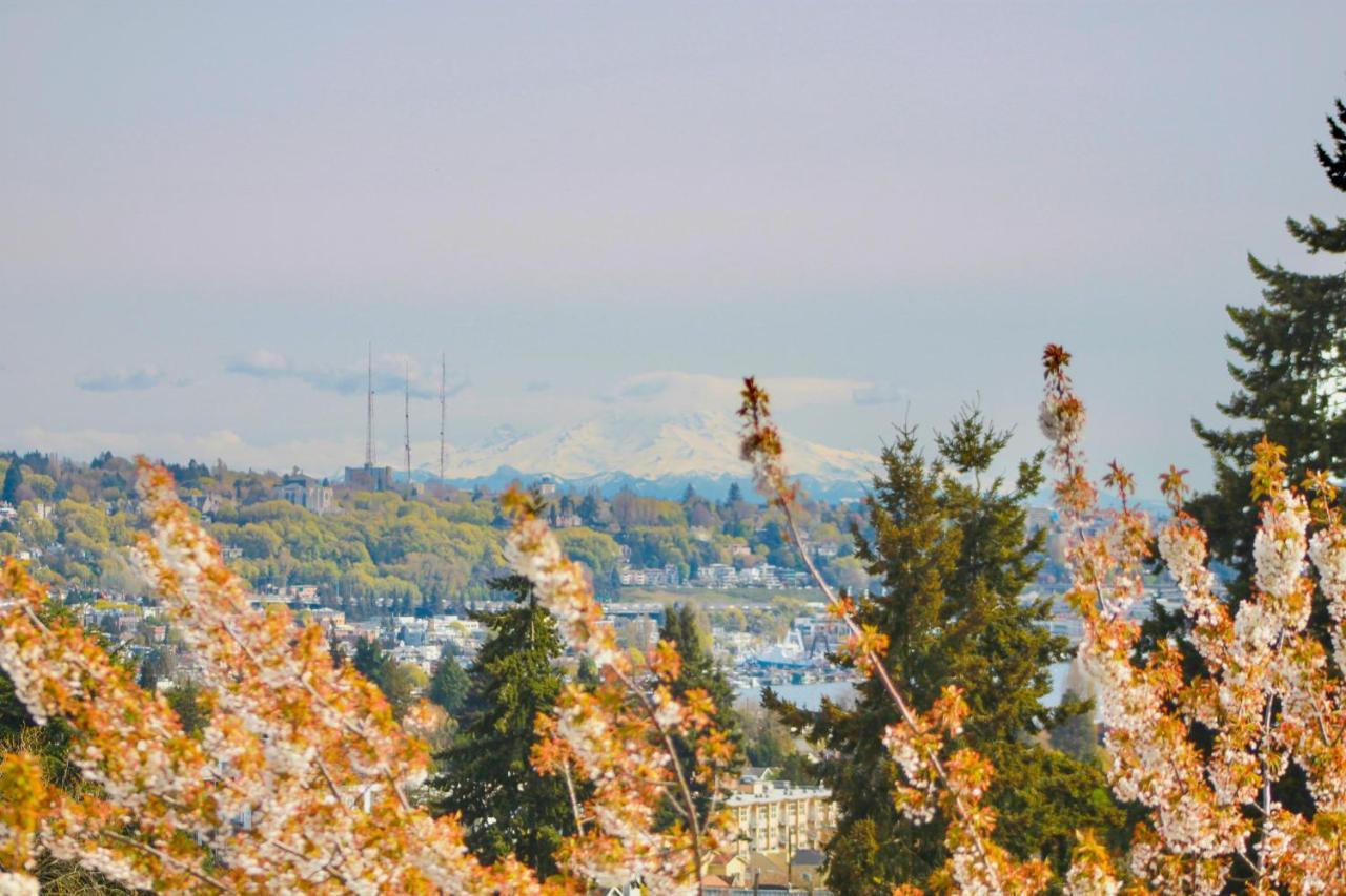 Lovely Magnolia Home * Seattle