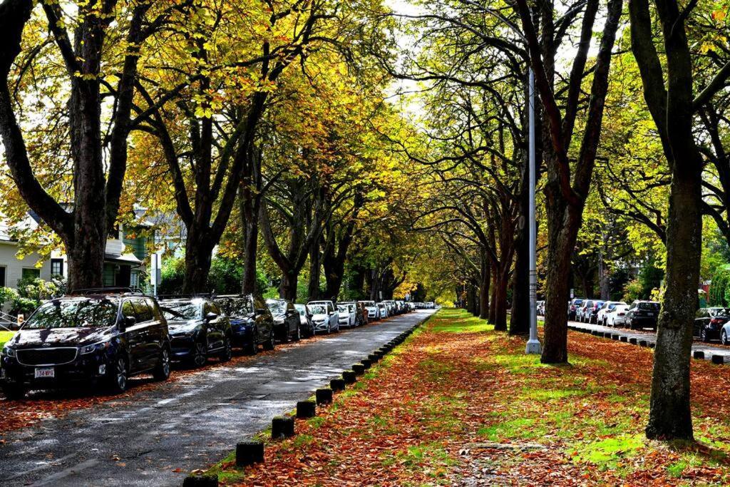 U-district Warmth 8 Mins Walk To Uw