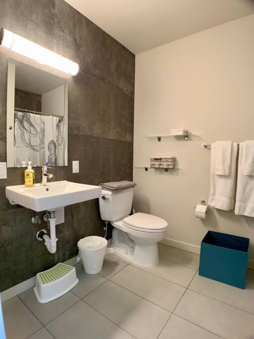 Lofty Prime Cap Hill Area Mins To Downtown *