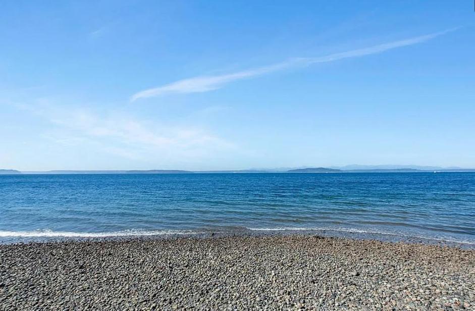 Seaside Serenity 1 Bedroom With Balcony Near Alki Apartment