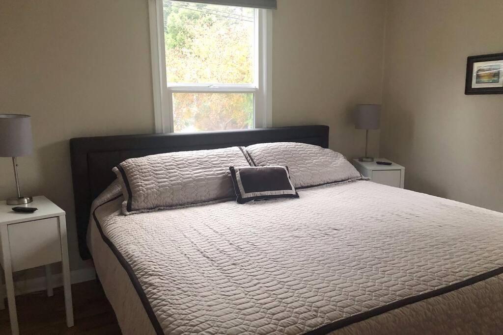 Cozy Crown Hill Carkeek W/3 Beds, Full Kitchen & Backyard In North