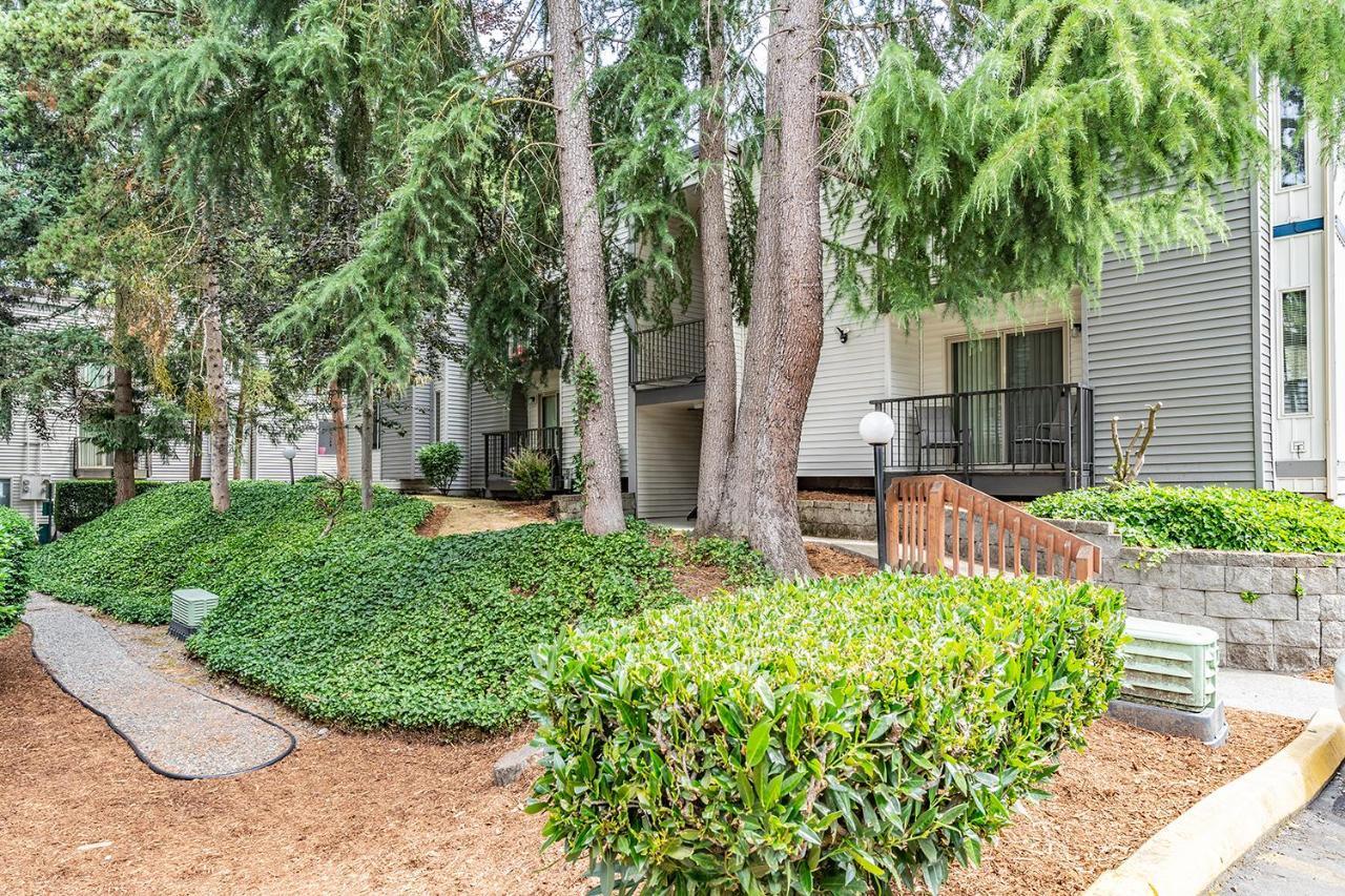 Beautiful And Cozy One Bedroom -wifi, Bbq, Patio, Dog Park, Close To Greenlake And Northgate *