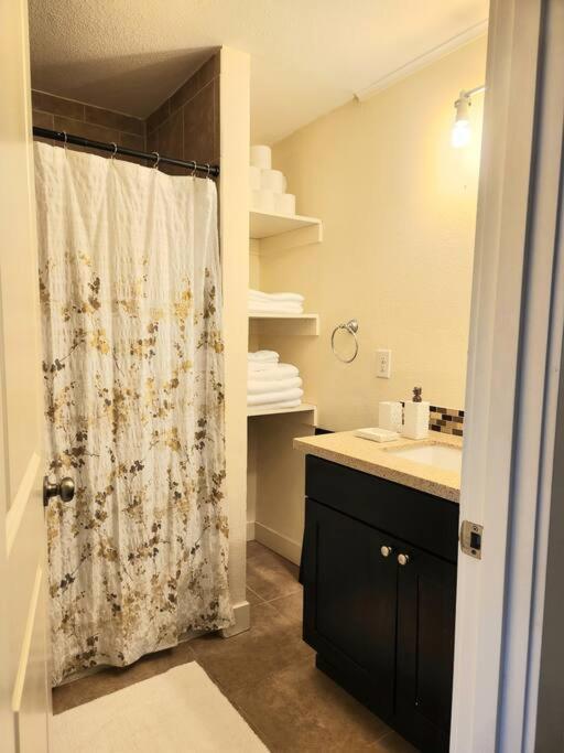 Apartment Cozy Contemporary 2br With Sofa Bed In The Office Seattle