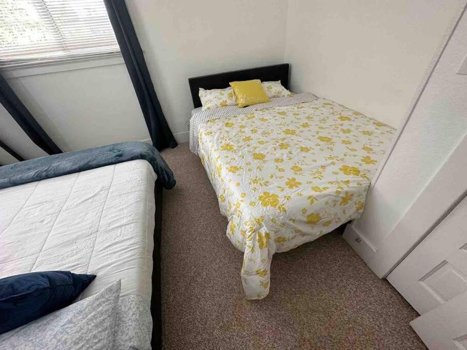 Victorian Villa: Interns Or Family * Seattle