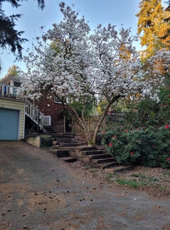 Furnished 1br With Equipped Office- North *
