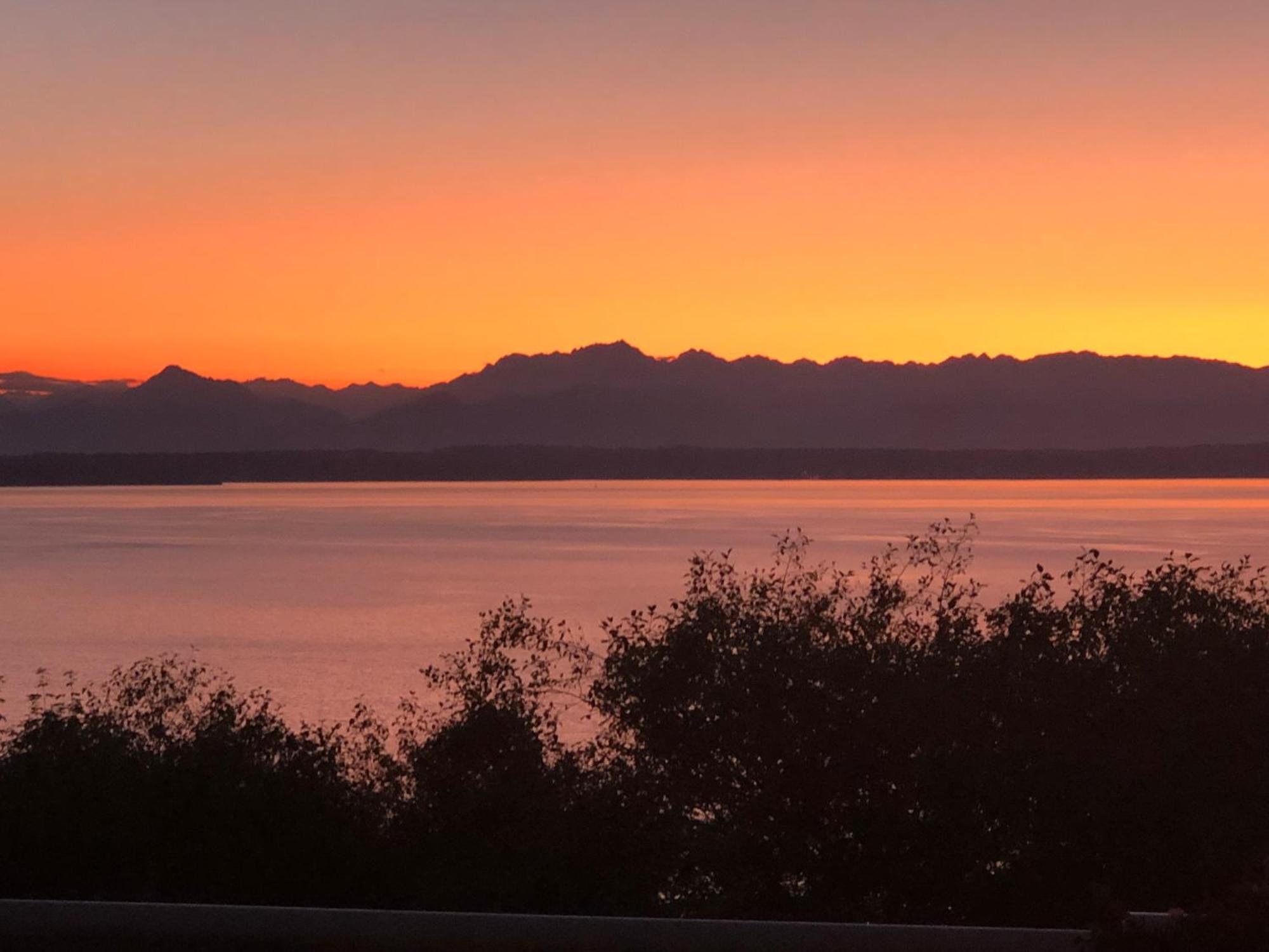 1-bedroom Seaview On Luxury Estate With Views Of Olympic Mountains Apartment Seattle