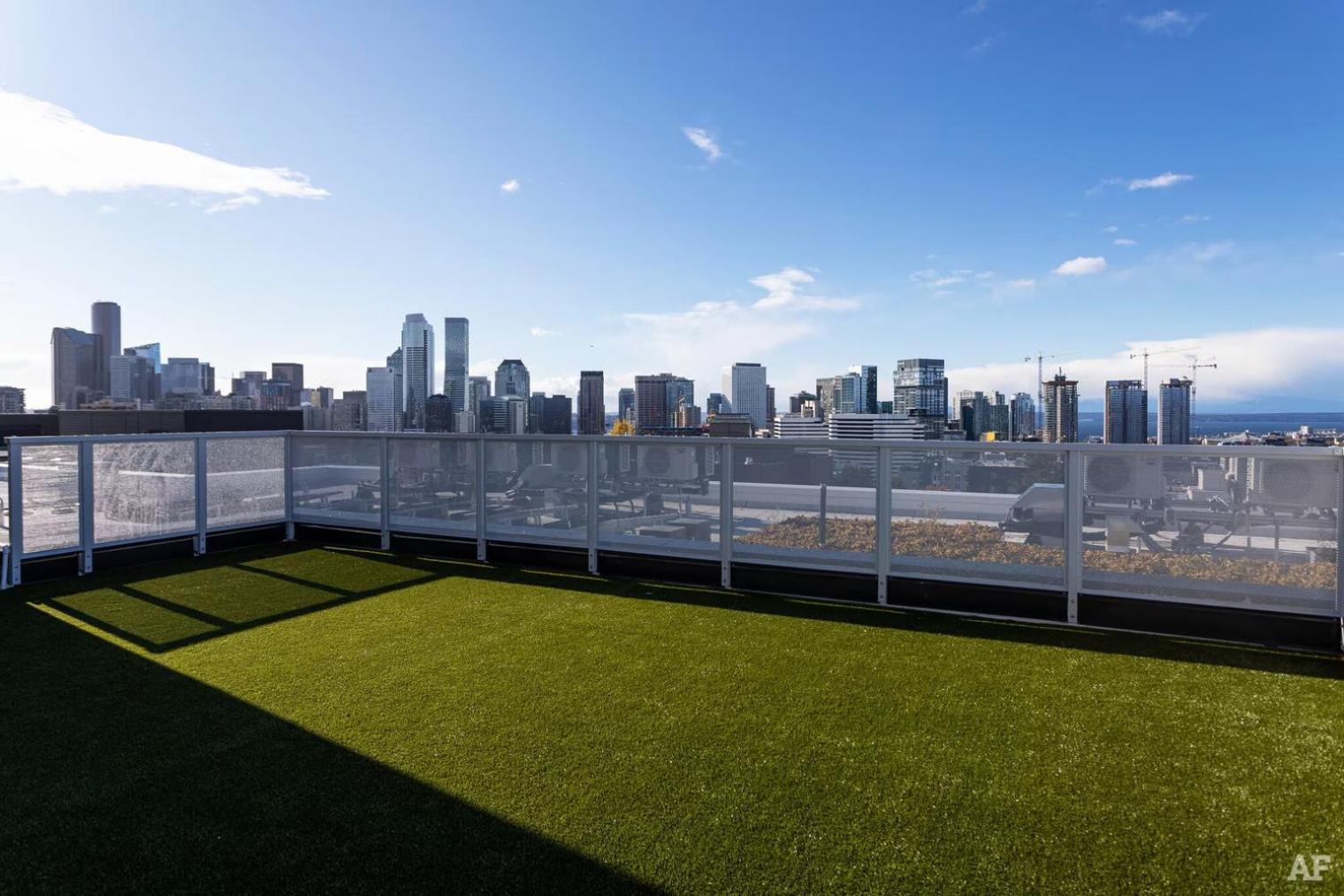 Capitol Hill 1br W Wd Rooftop Lounge Nr Park Sea-130 Apartment