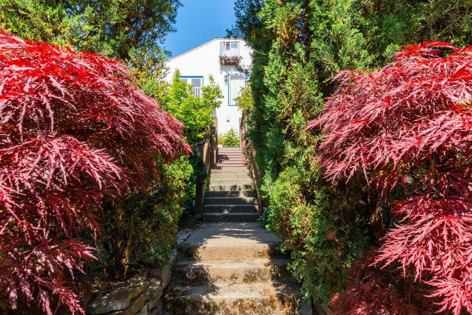 Apartment Laurelhurst - Cozy 1 Bedroom Near Children's Hospital And Uw