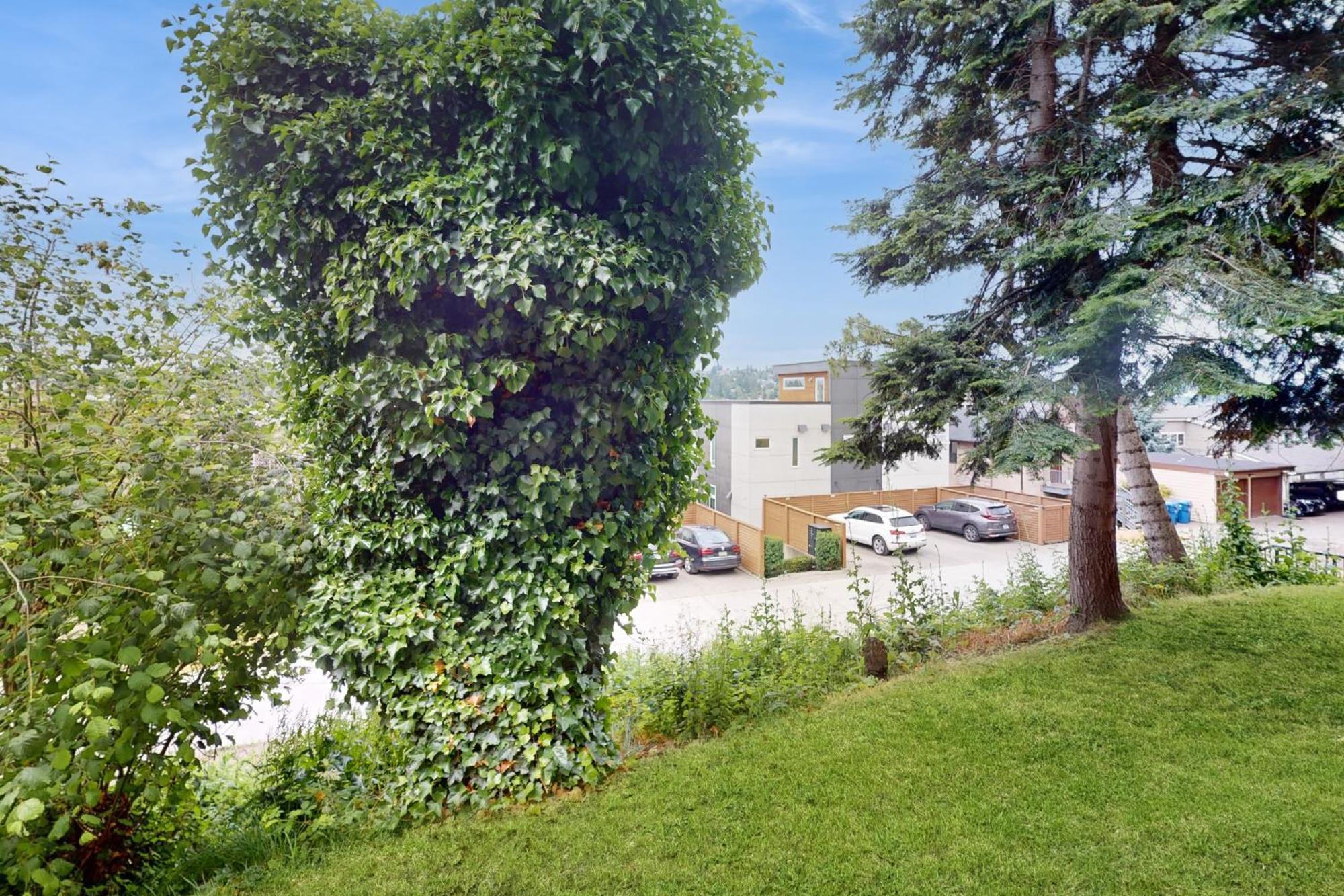 Queen Anne Escape Holiday home