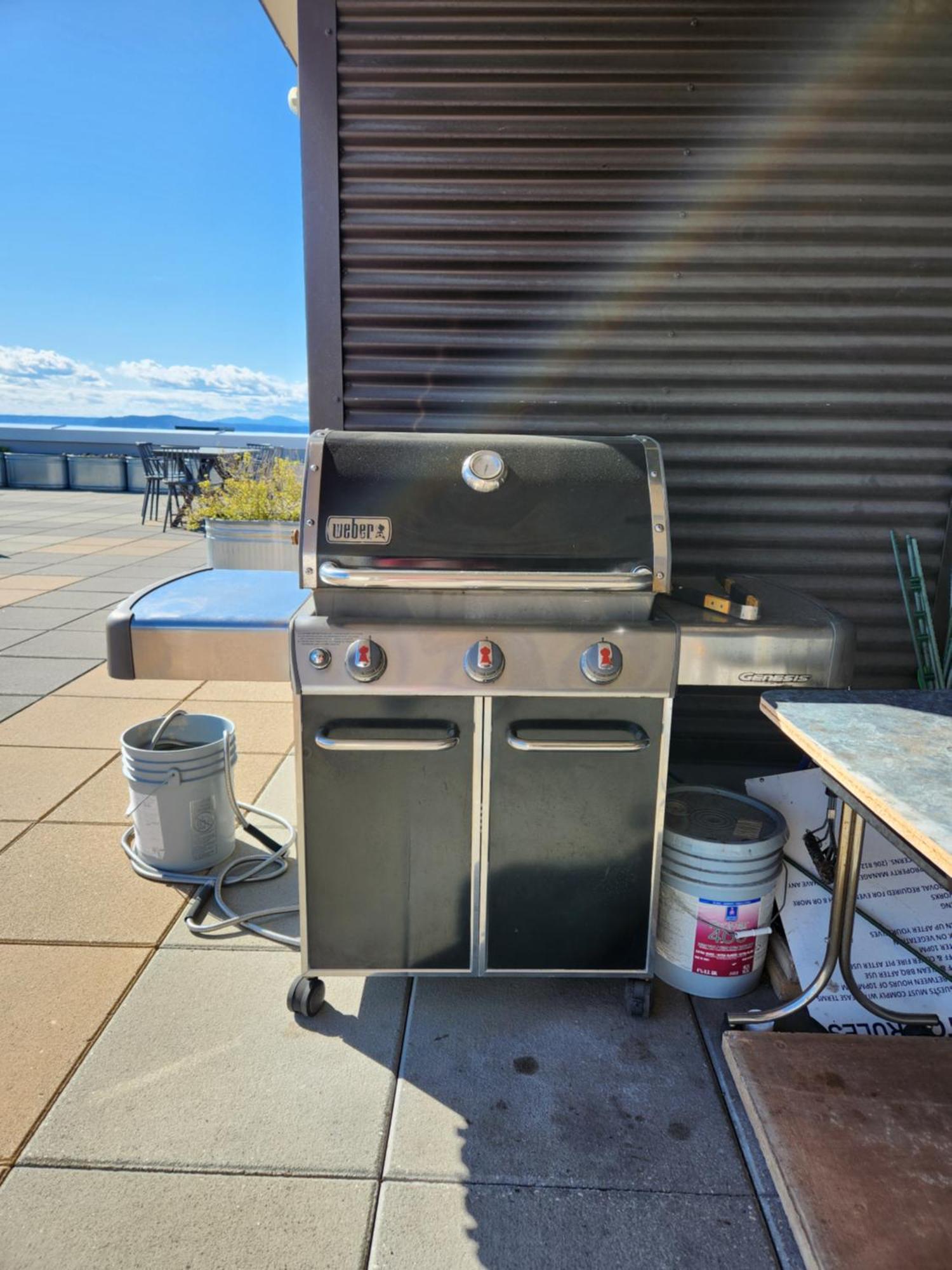 Queen Anne Retreat - 1 Blk From Cpa - Free Parking Apartment