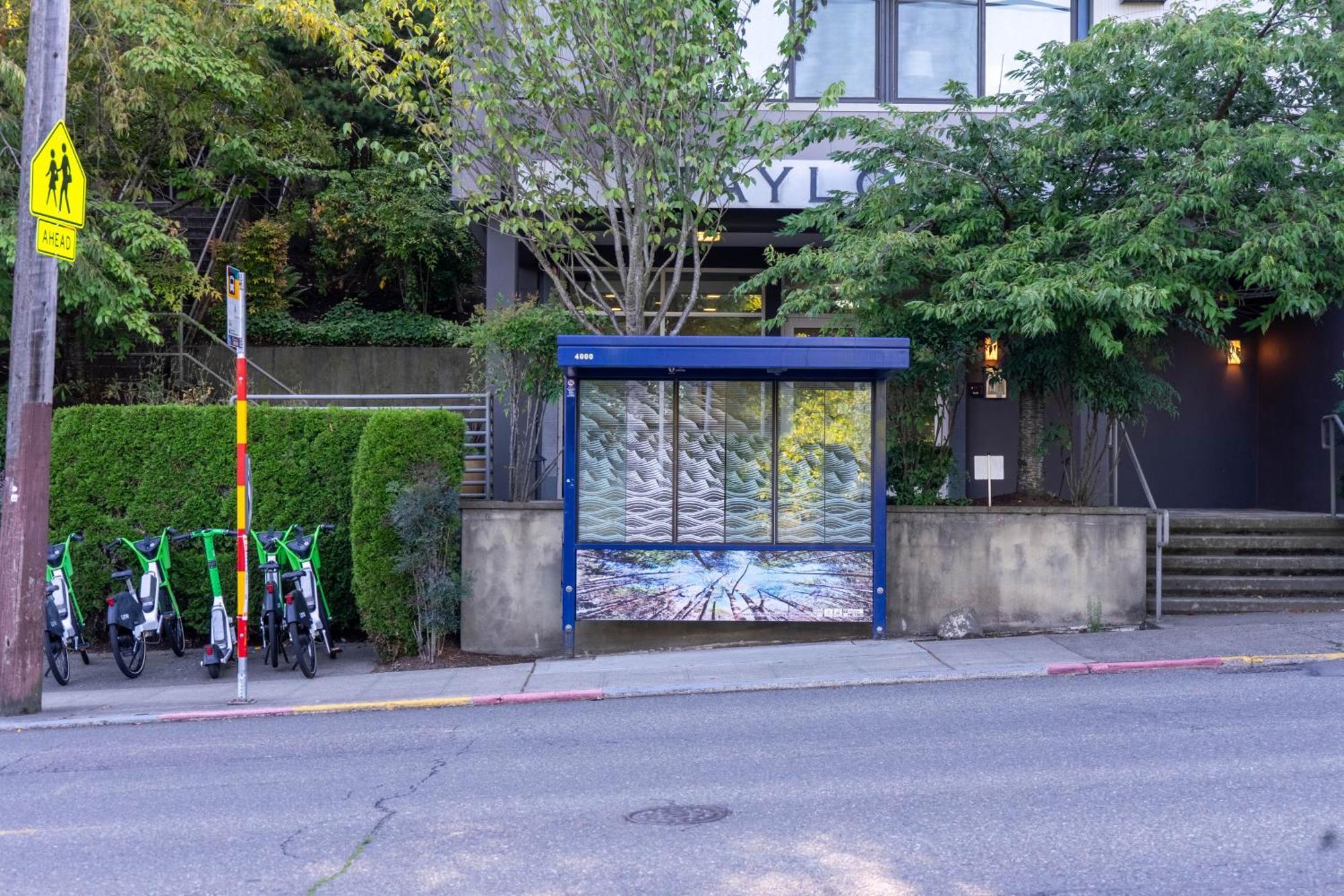 Travelers Dream, Walk To Space Needle, Parking, Backyard *