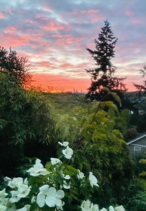 Blue Heron Manor - Historic Charm Centrally Located Seattle