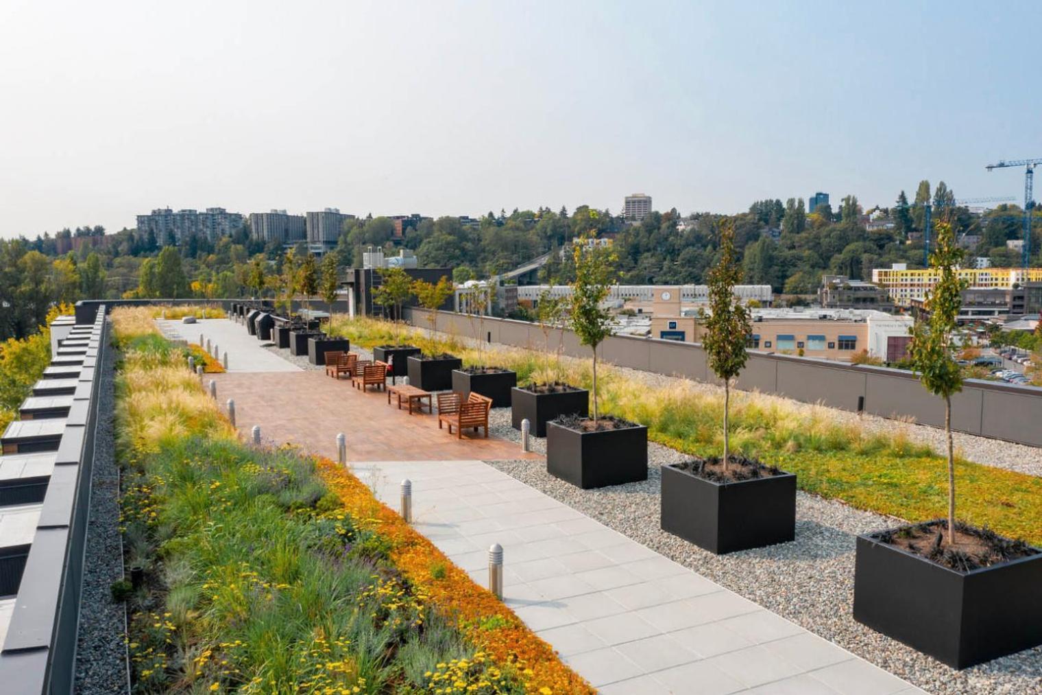 Blueground U Distr Wd Ideal For Students Sea-733 Apartment Seattle