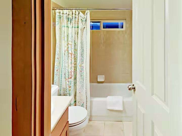 Fremont & Woodland Park Zoo Cozy Living Apartment *