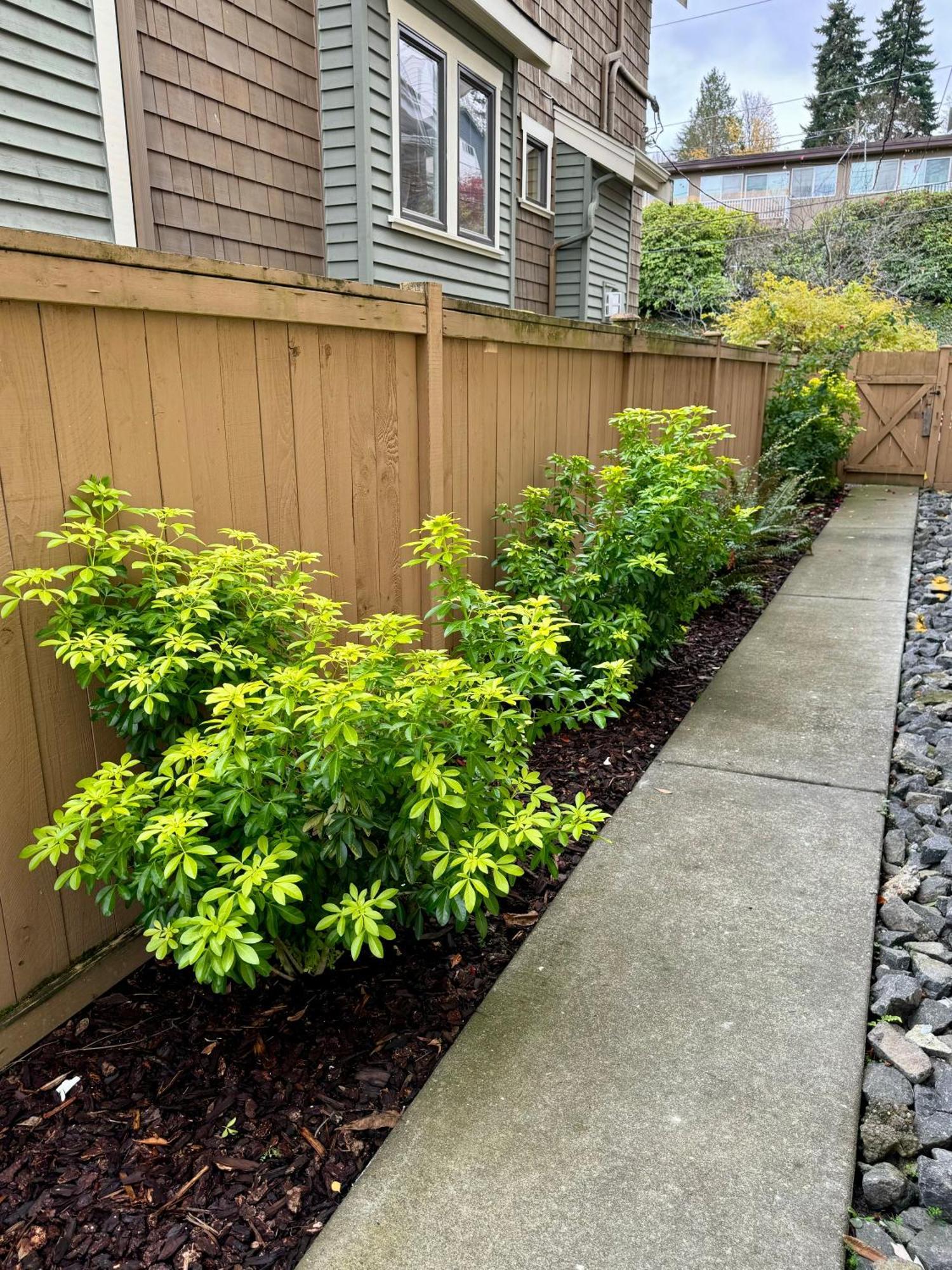 Queen Bea-seattle-queen Anne-basement-level Seattle