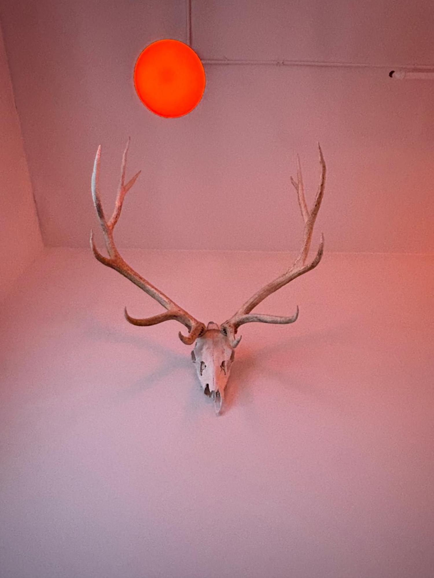 Ace Hotel