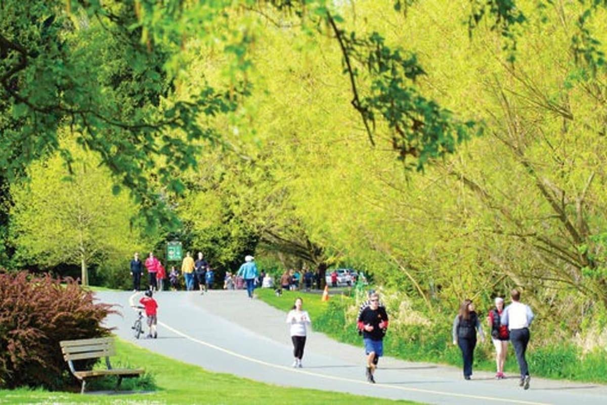 Greenlake Little Oasis