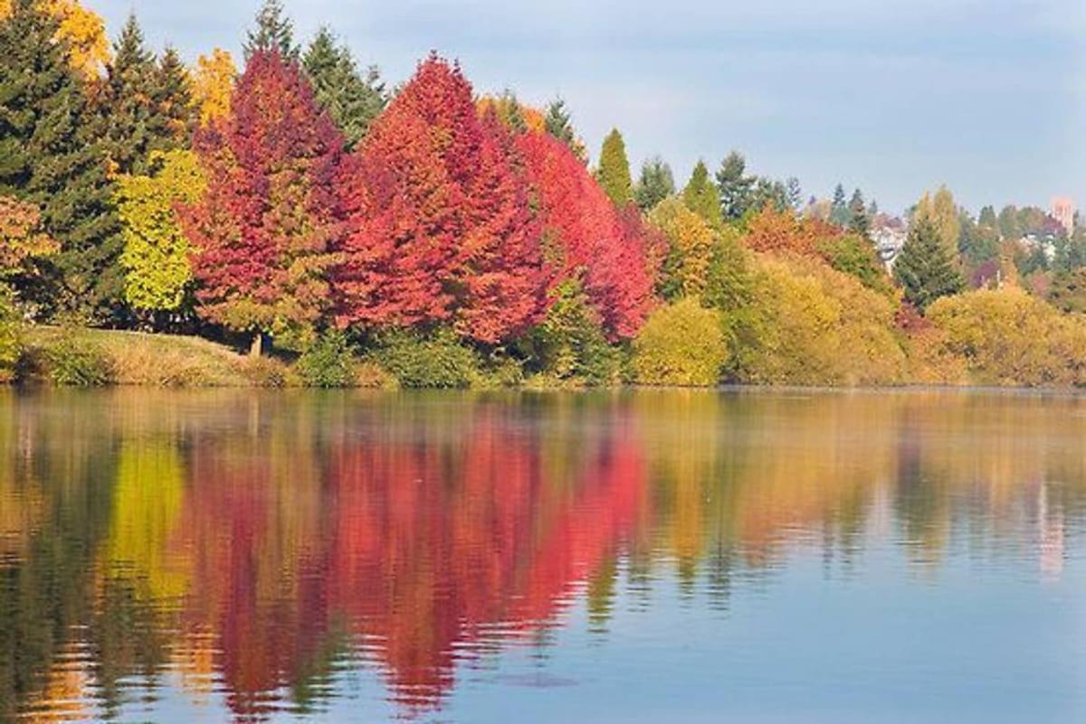 Greenlake Little Oasis Seattle