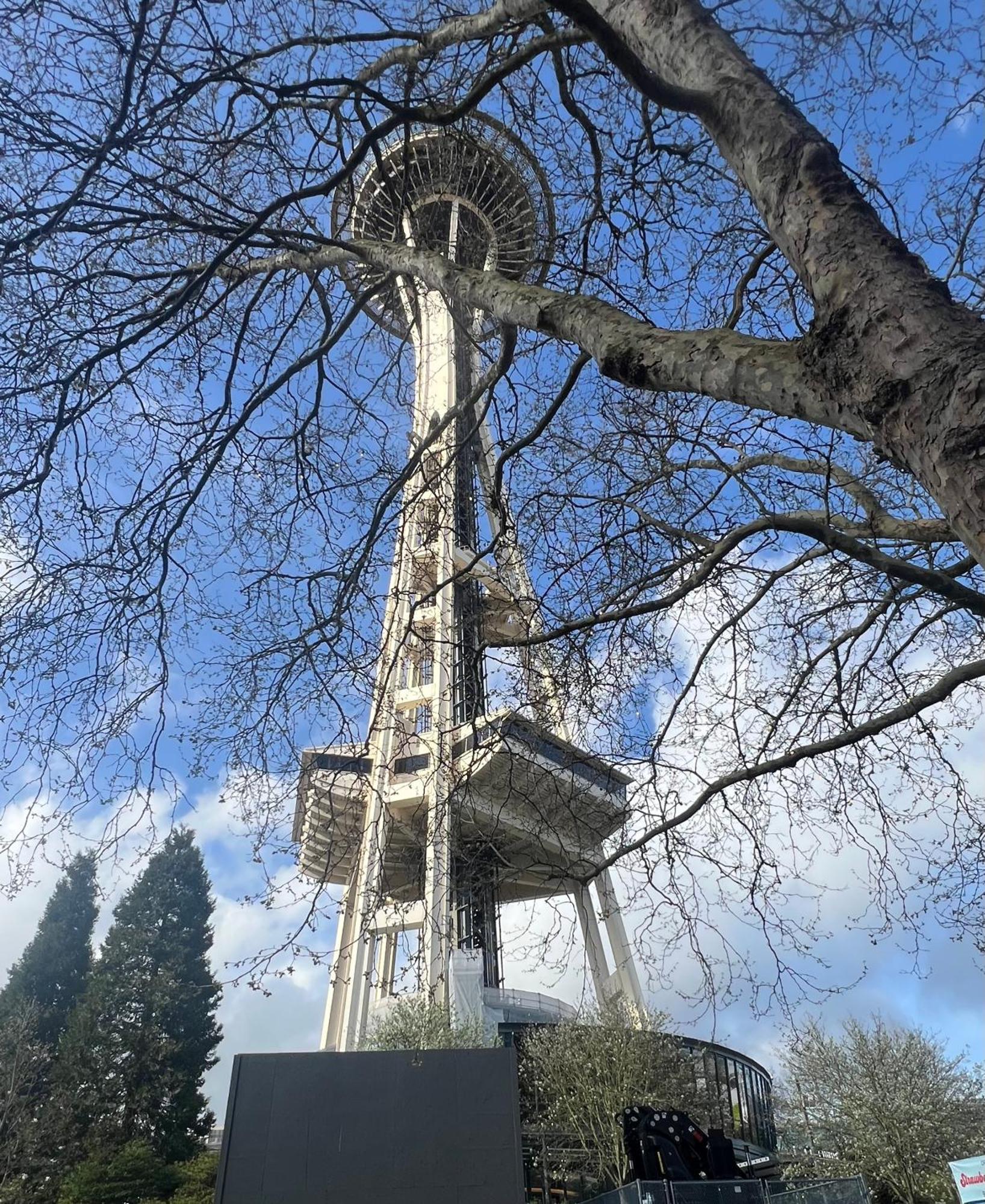Monthly 1 Bedroom Center Seattle