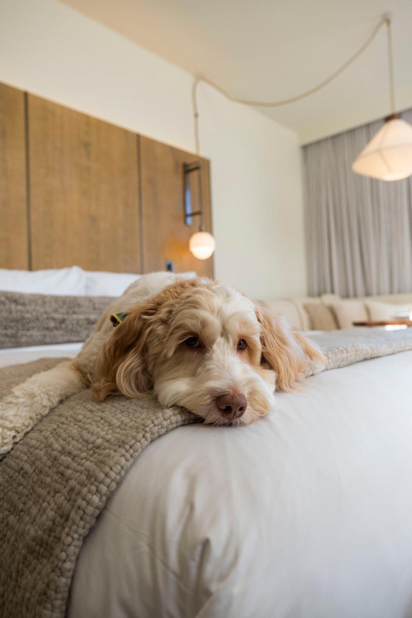 1 Hotel Seattle 5*