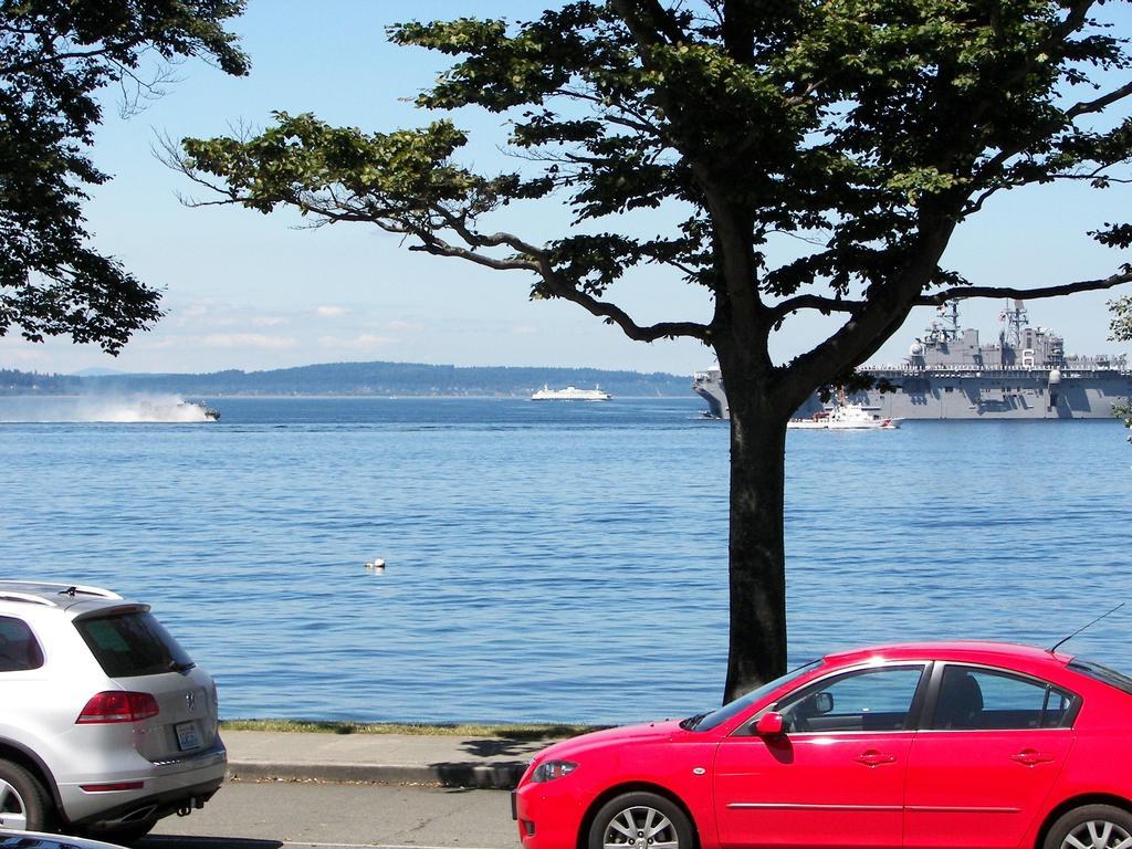 Alki Magpie Seattle
