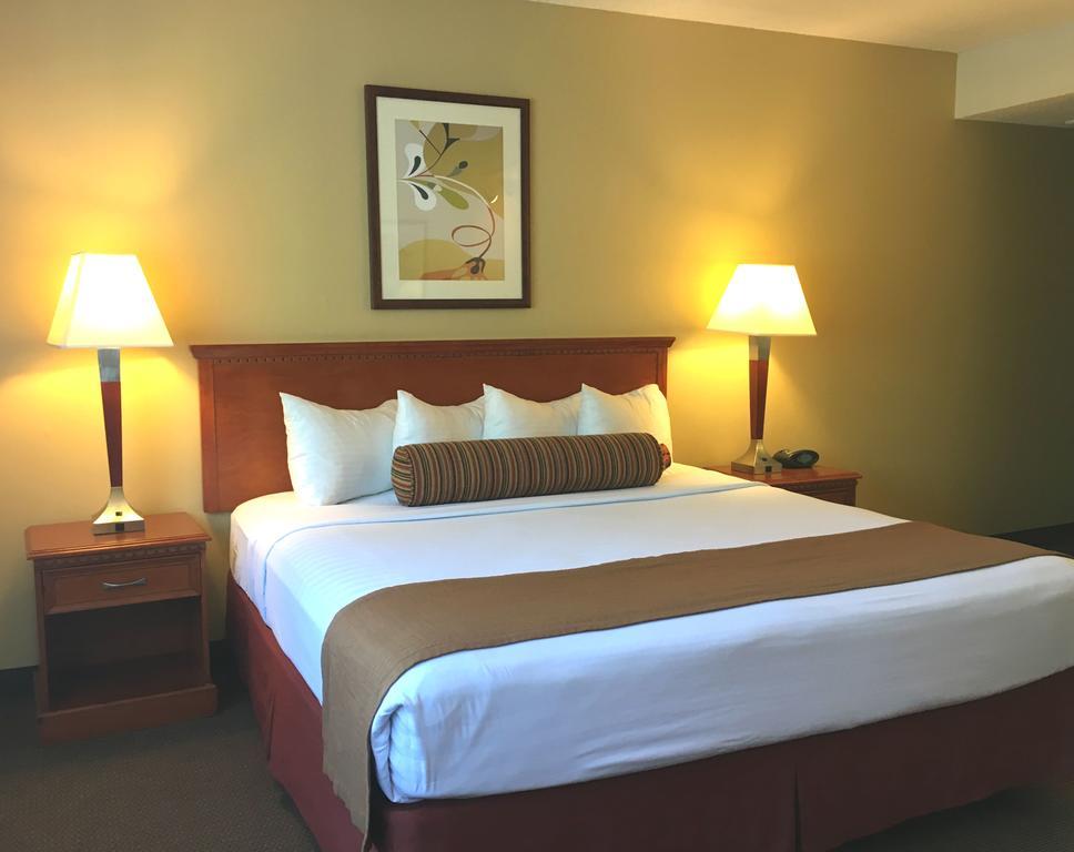 The Loyal Hotel