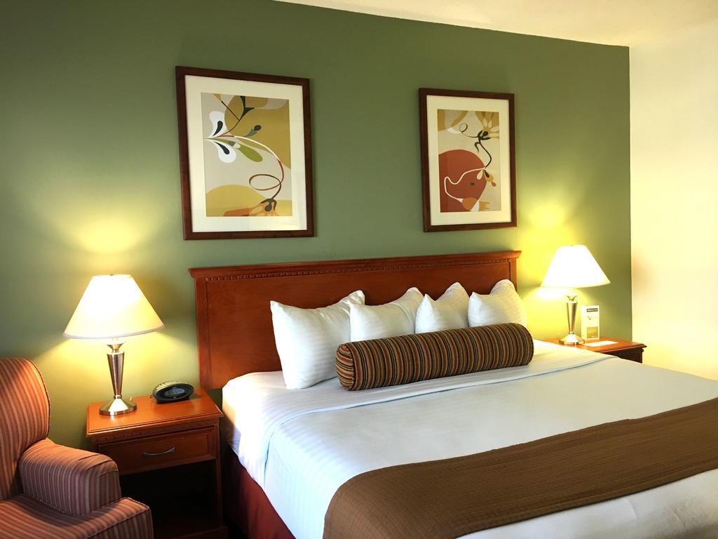 The Loyal Hotel 3*