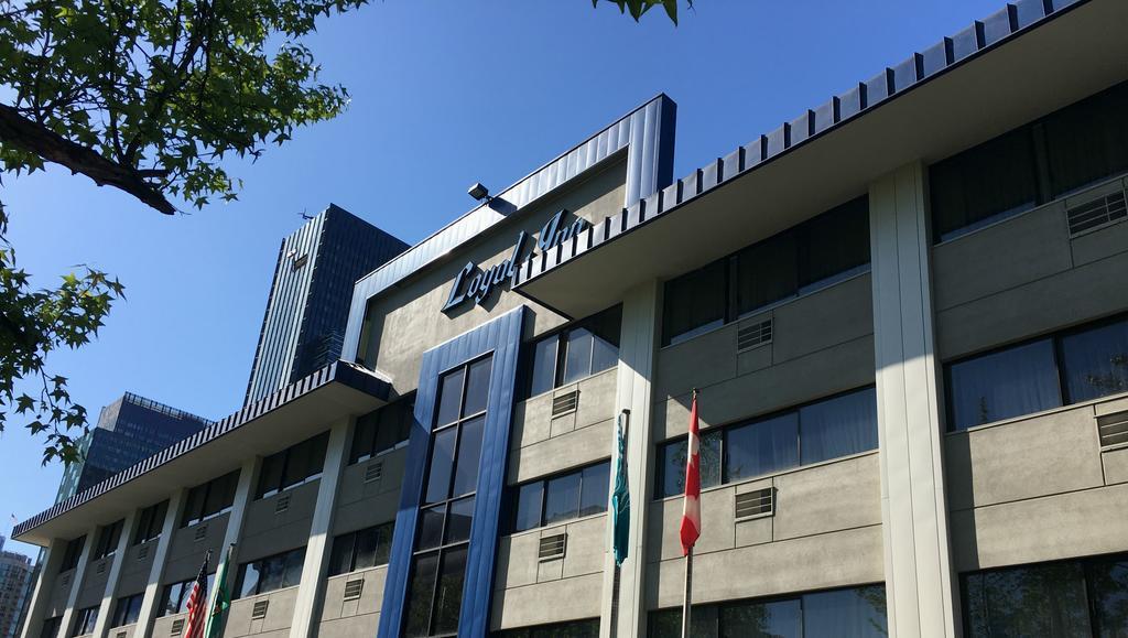 Hotel The Loyal
