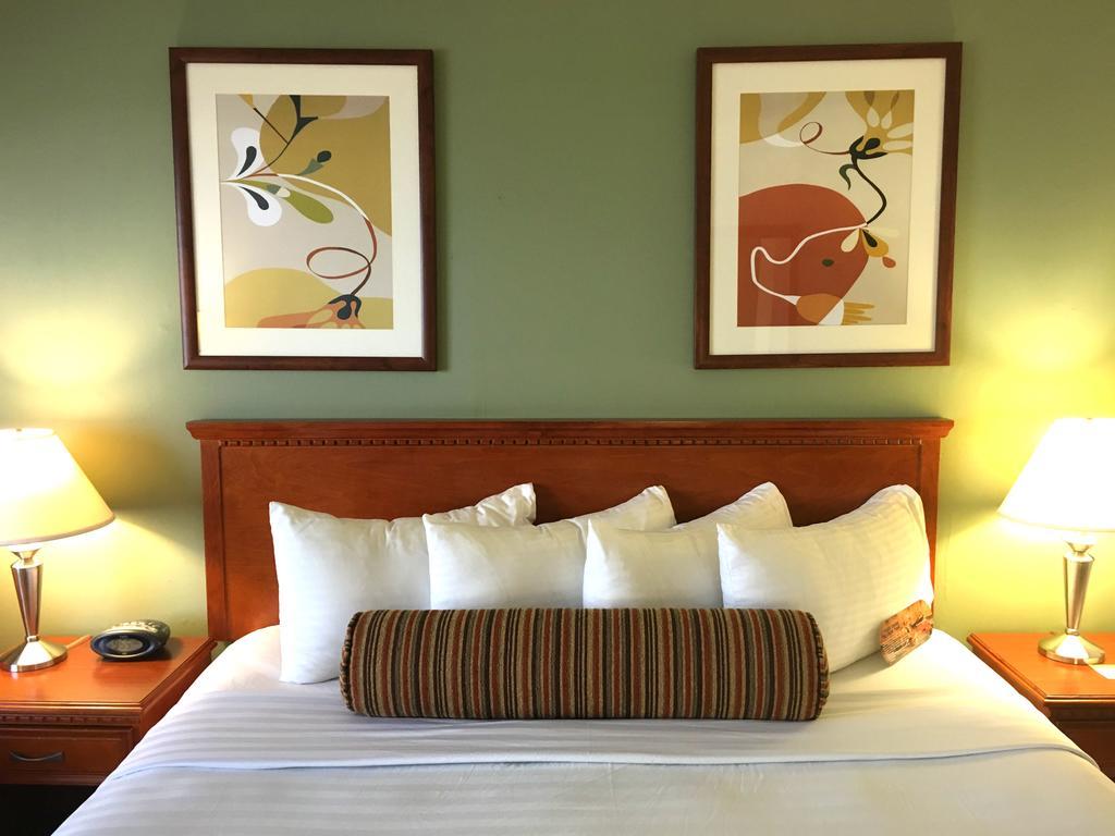 The Loyal Hotel 3*