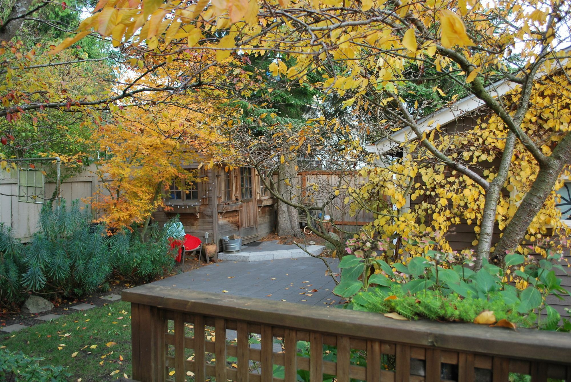 Stylish Craftsman Premium Comfort Apartment Seattle