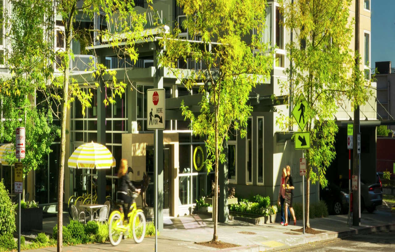 Staypineapple, Watertown Hotel, District Seattle