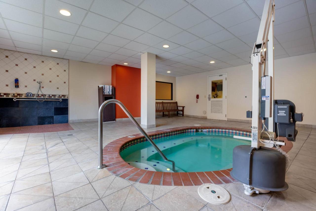 Hotel The Loyal