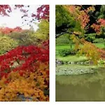 Arboretum Escape