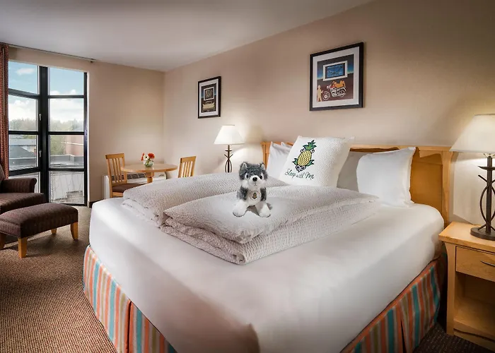 Staypineapple, University Inn, University District Seattle