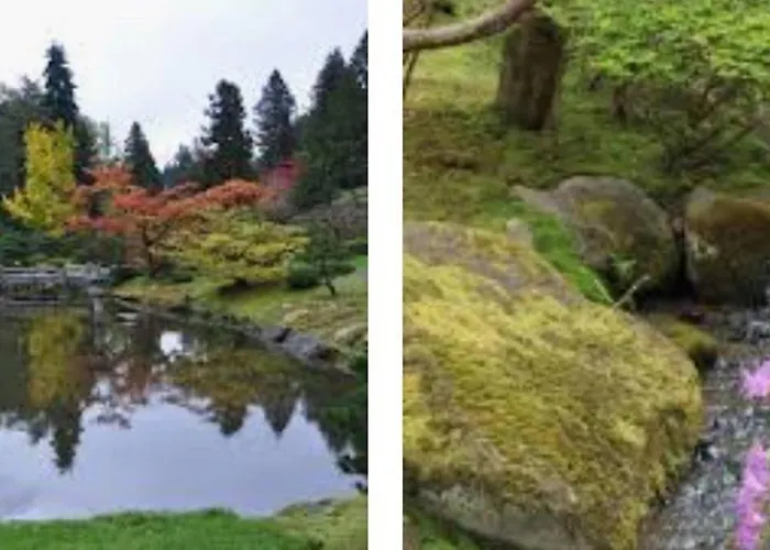 Arboretum Escape