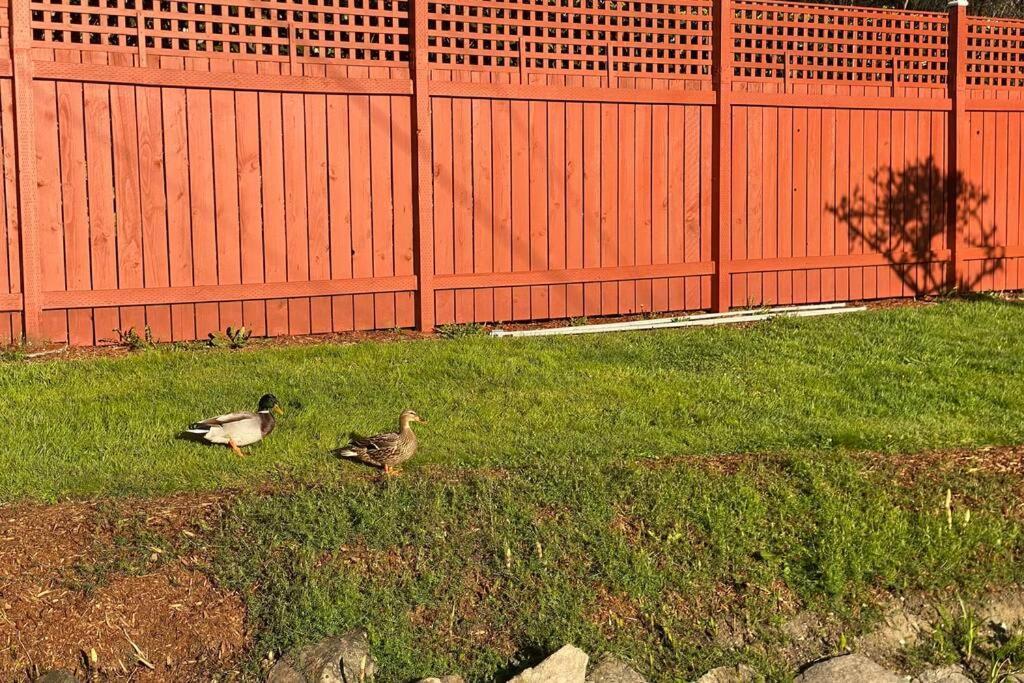 Private Getaway Near Washington! Holiday home Seattle